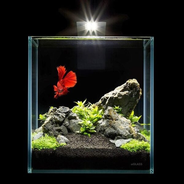 Nano acuario 8lt