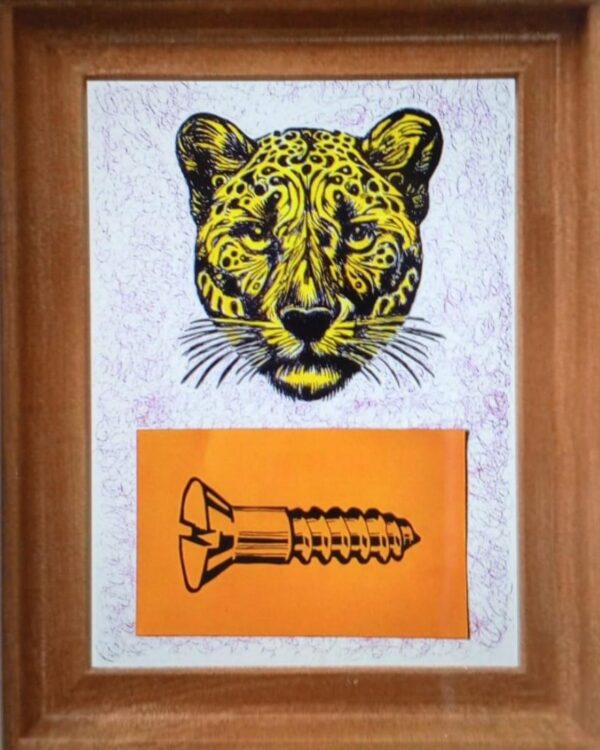 Jaguar Andino